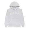 Sp5der Heather Grey Vvs Hoodie