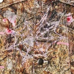 Sp5der Real Tree Trucker Jacket 2