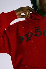 Sp5der Vvs Red Hoodie 1