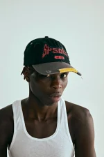 Spider Brown T F 6 Panel 1