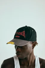 Spider Brown T F 6 Panel 4