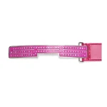 Spider Pink Sp5 Logo Belt 1