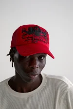 Spider Red Silk Web Bank Trucker Hat 4