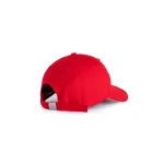 Spider Red Souvenir 6-panel Hat 5